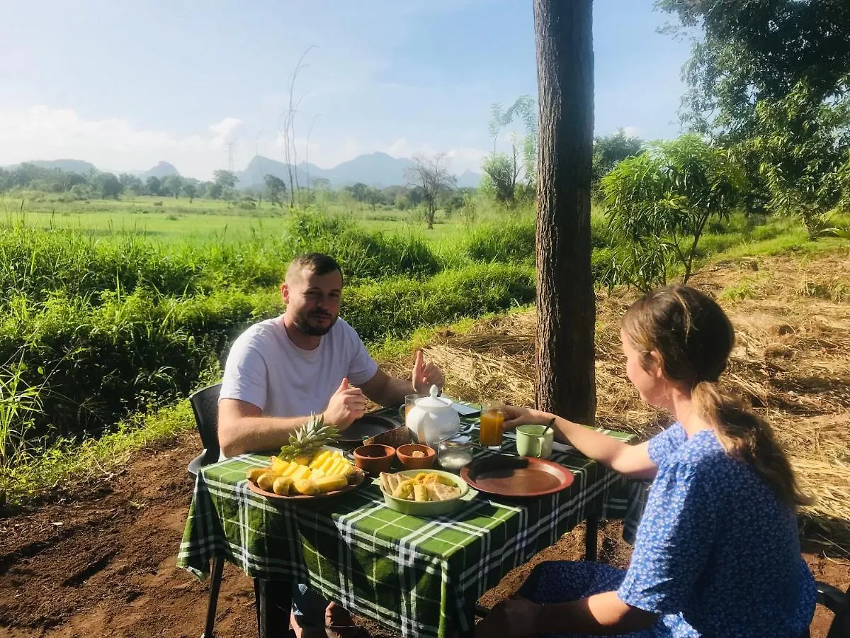 Hotel The Wild Culture Sigiriya